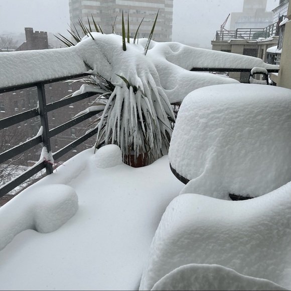 PLEASE, LIKE, FOLLOW & SHARE, SHARE, SHARE! THANK YOU!❤️❤️ - Picture 2 of 16